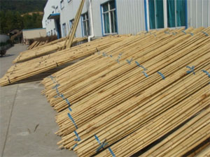 Bambusové tyče na prodej